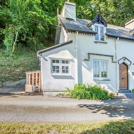 Braich-Y-Celyn Lodge Aberdyfi Ngoại thất bức ảnh